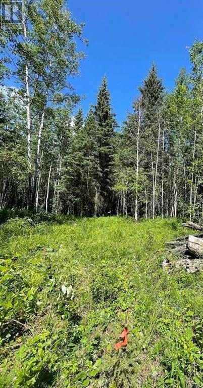 Photo 1 of 221054 670 Township, Rural Athabasca County AB