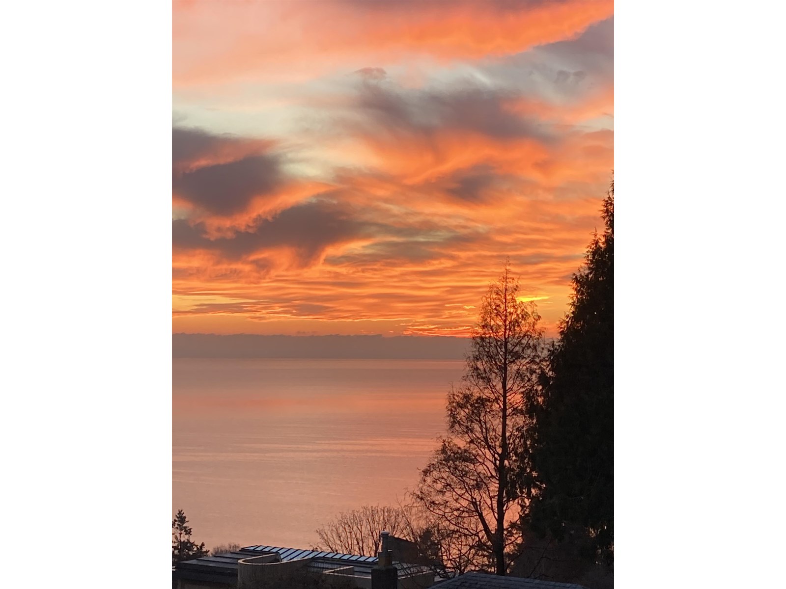 Photo 28 of 305 15010 Roper Avenue, White Rock BC