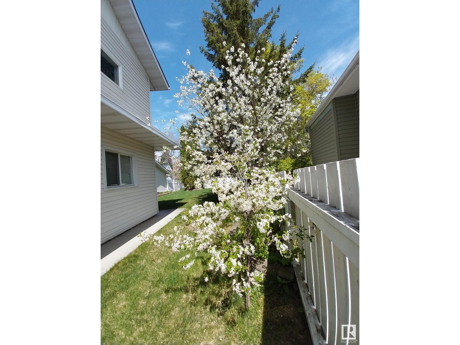 Photo 74 of 11406 73 Av Nw, Edmonton AB