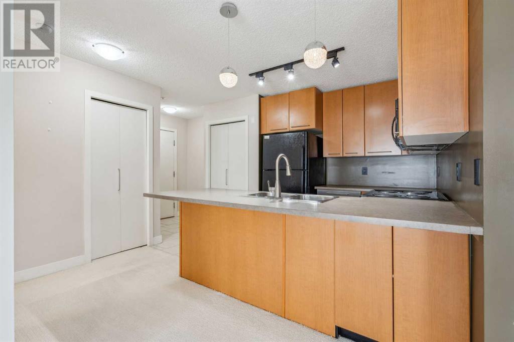 Single Family House for Sale in   Richard Court SW Lincoln Park Calgary 