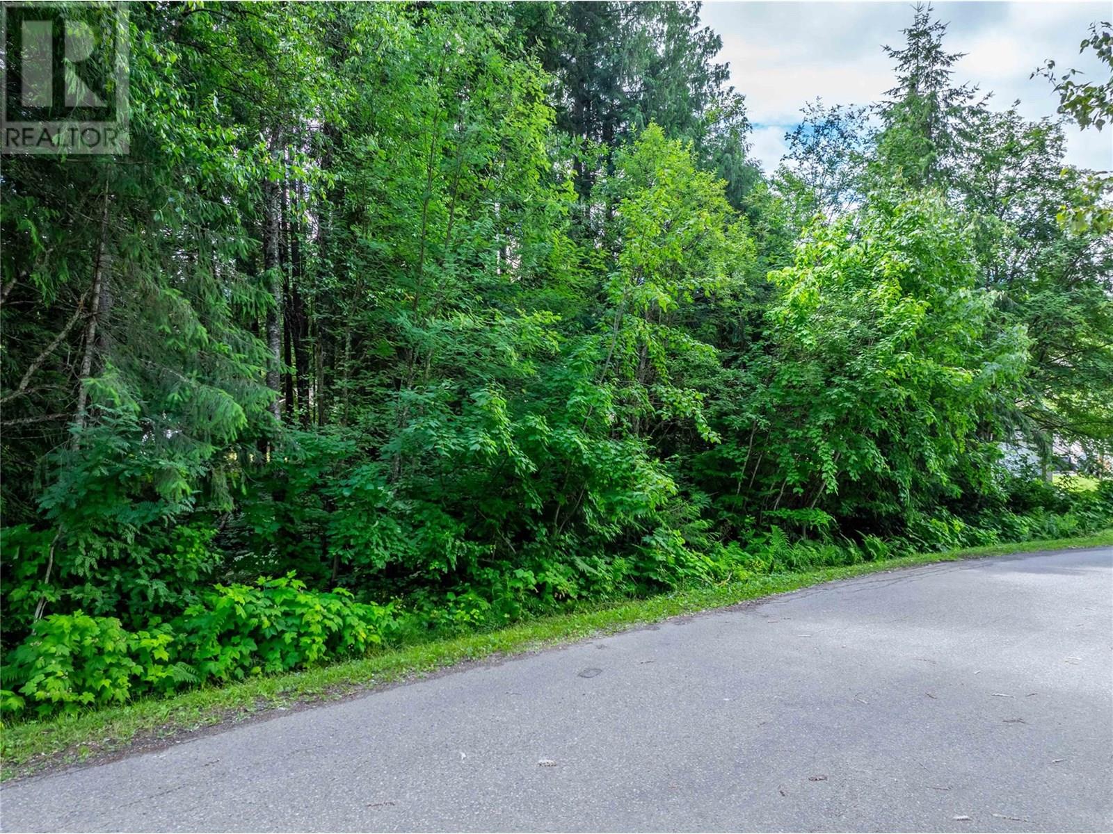 1571 Pratico Road, Revelstoke