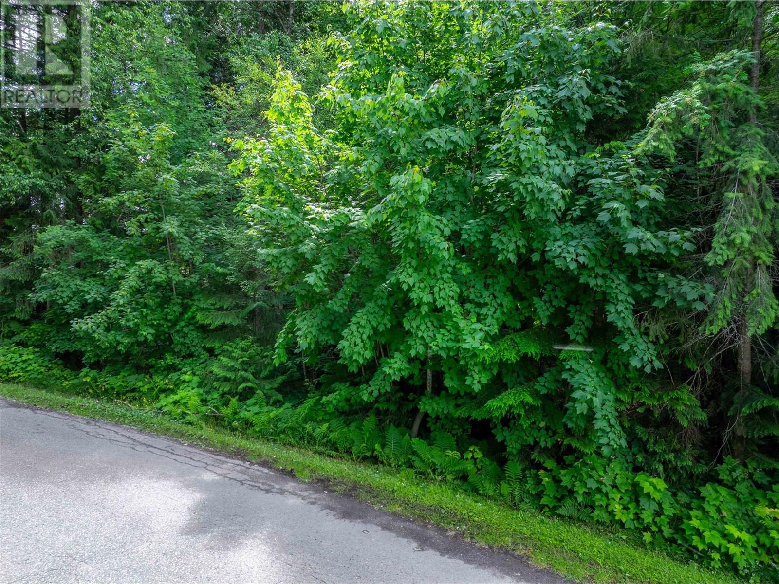 1571 Pratico Road, Revelstoke