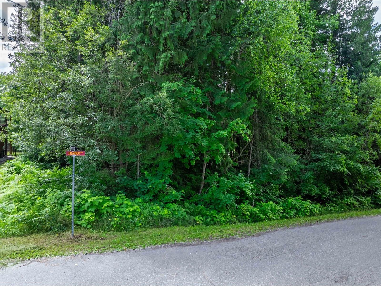 1565 Pratico Road, Revelstoke