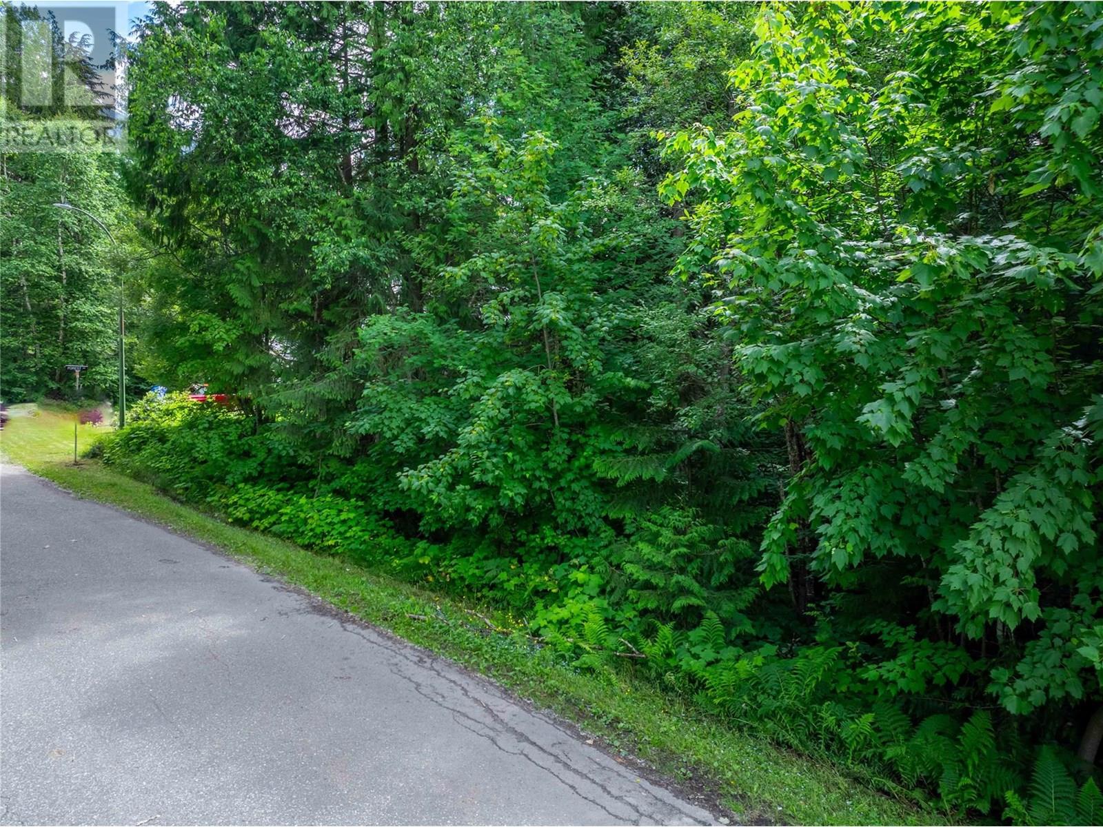 1565 Pratico Road, Revelstoke