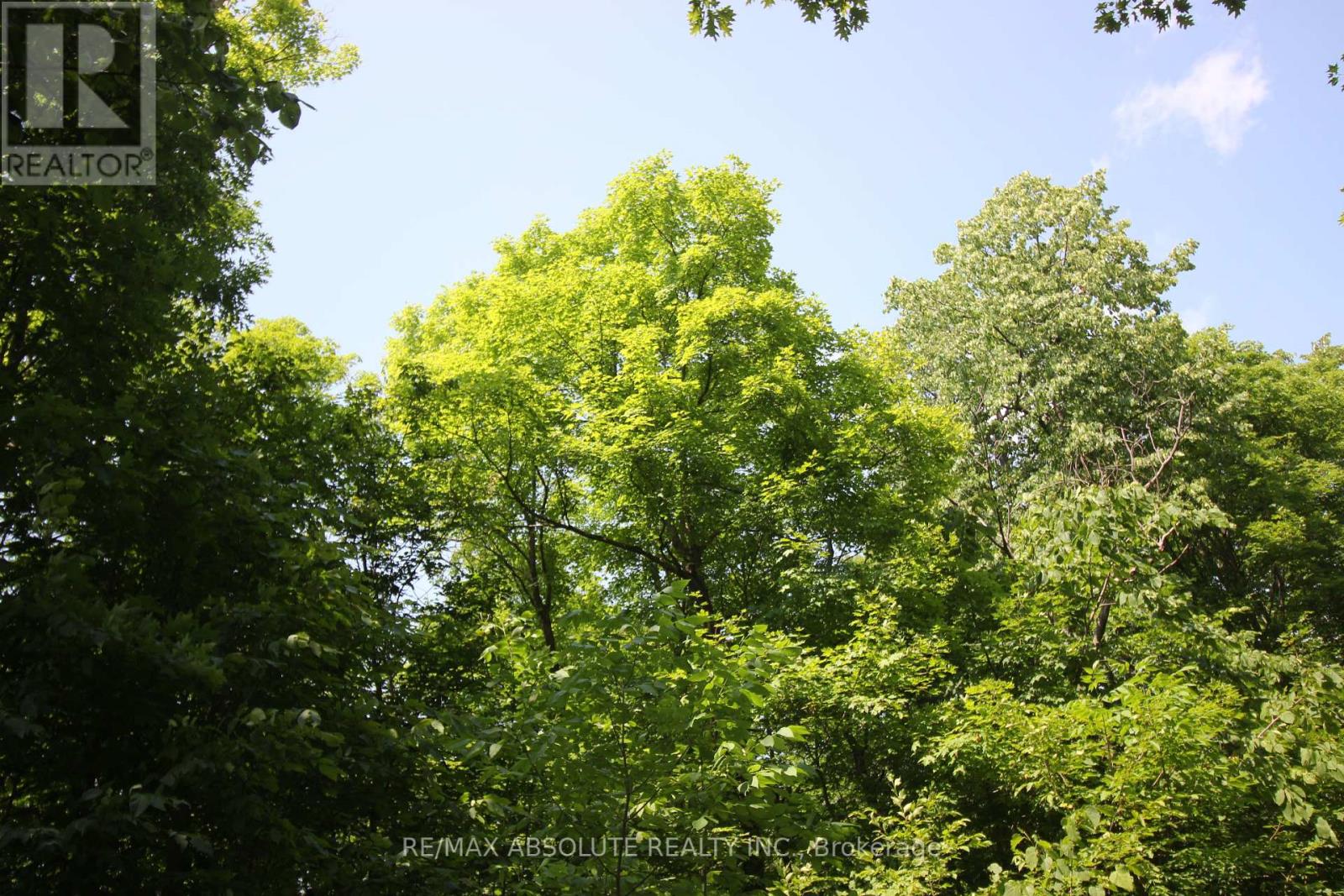 Photo 3 of 01 Carbine Road, Mississippi Mills ON