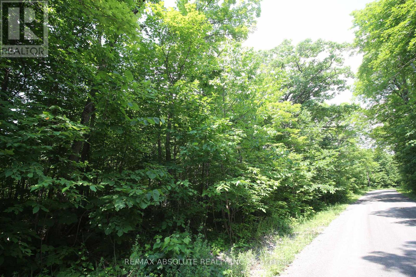 Photo 15 of 01 Carbine Road, Mississippi Mills ON