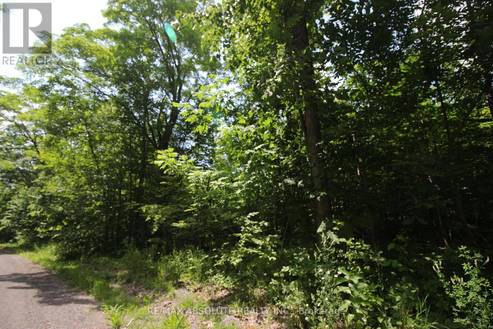 Photo 14 of 01 Carbine Road, Mississippi Mills ON