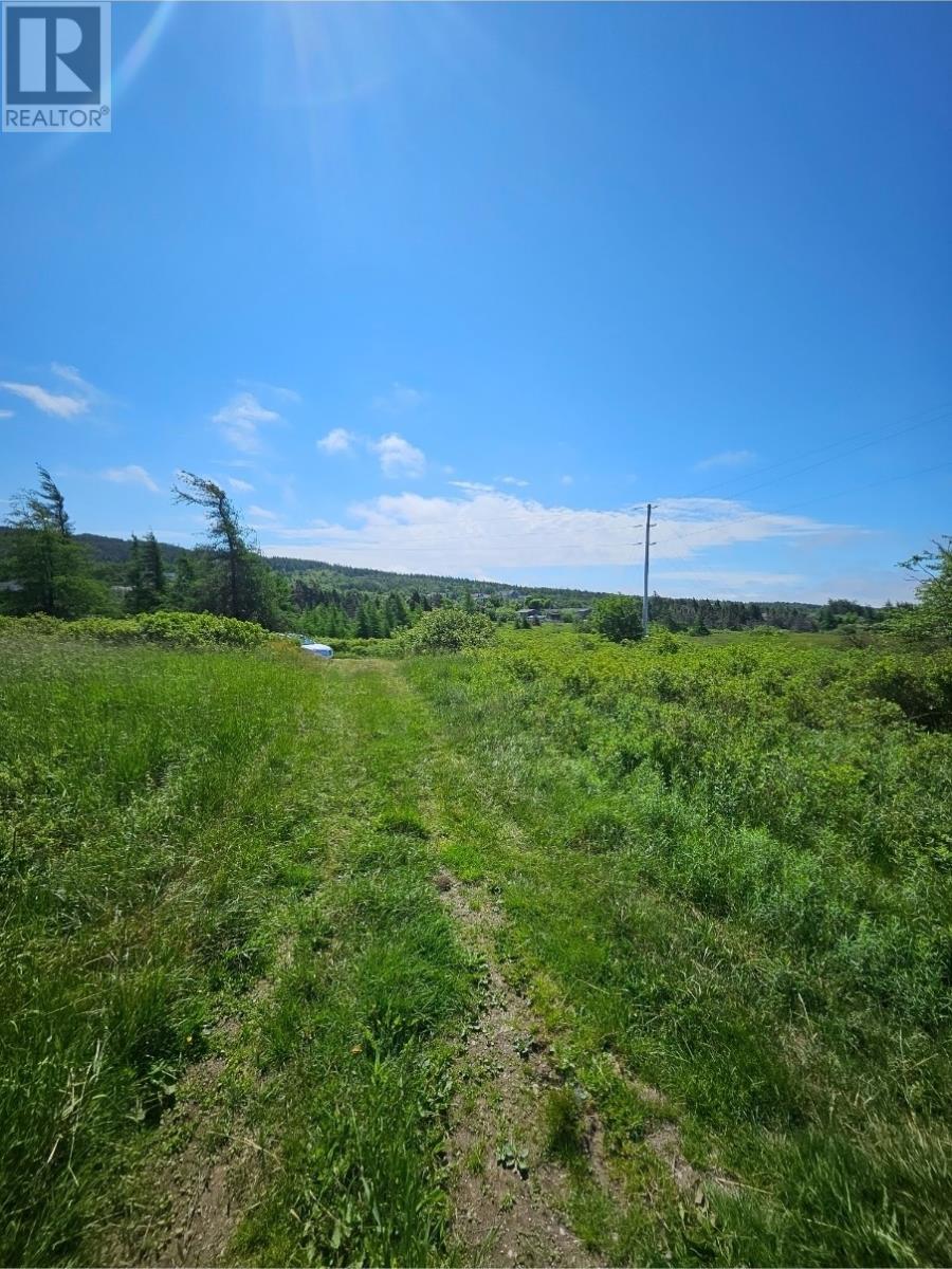 Photo 4 of O Uc Cemetery, Shearstown NL