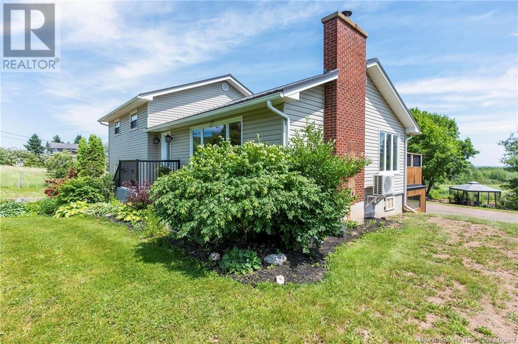 252 AMMON - 5