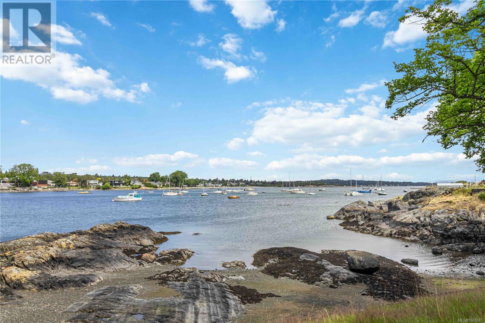 Photo 26 of 1579 Hampshire Rd, Oak Bay BC