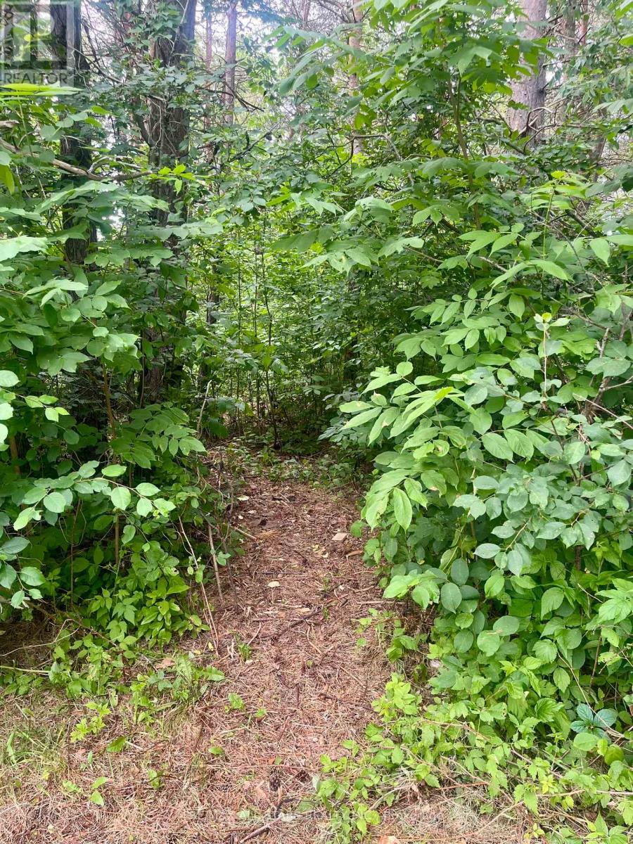 Photo 20 of 10750 On 522, Parry Sound Remote Area ON