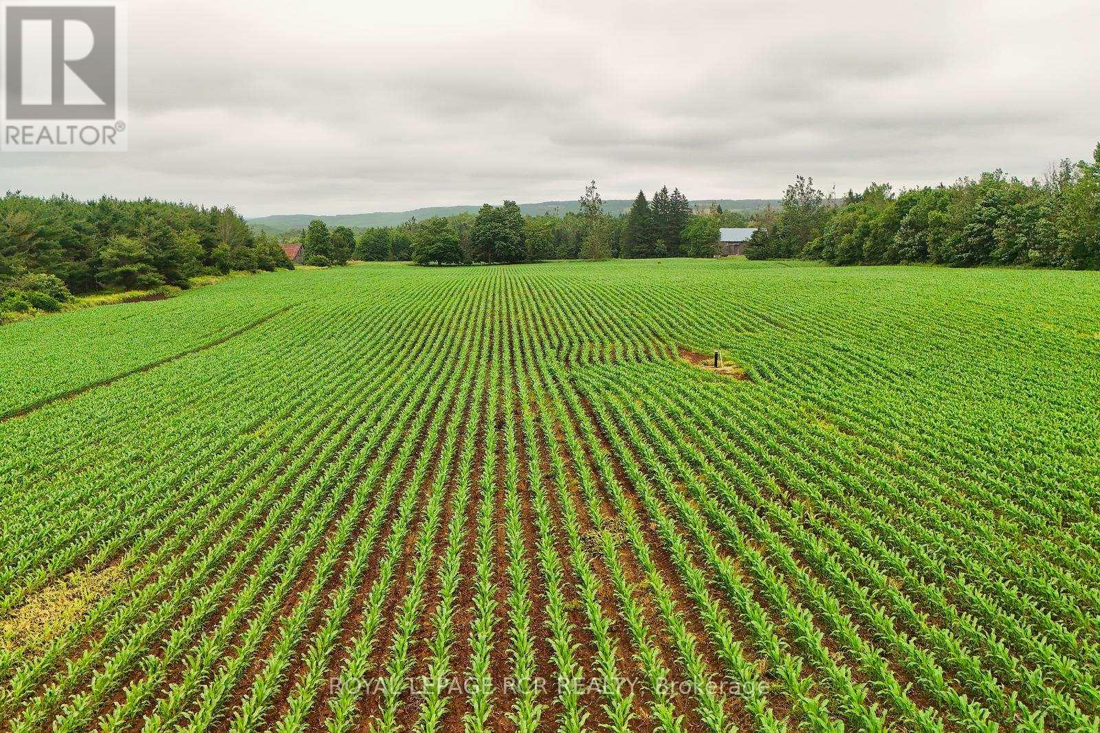 Photo 12 of 537086 Main St, Melancthon ON