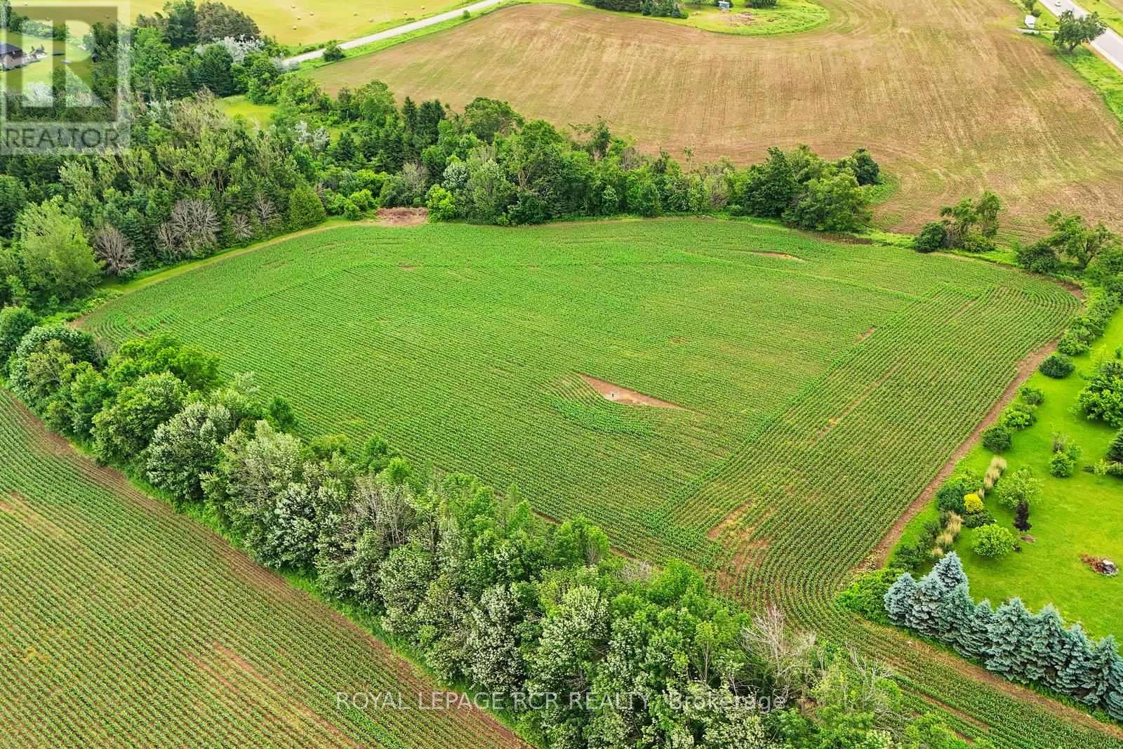 Photo 9 of 537086 Main St, Melancthon ON