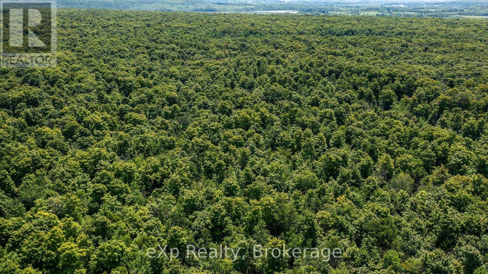 Photo 8 of 463086 Concession 24, Georgian Bluffs ON