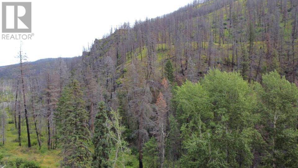 6520 DEADMAN VIDETTE ROAD - 4