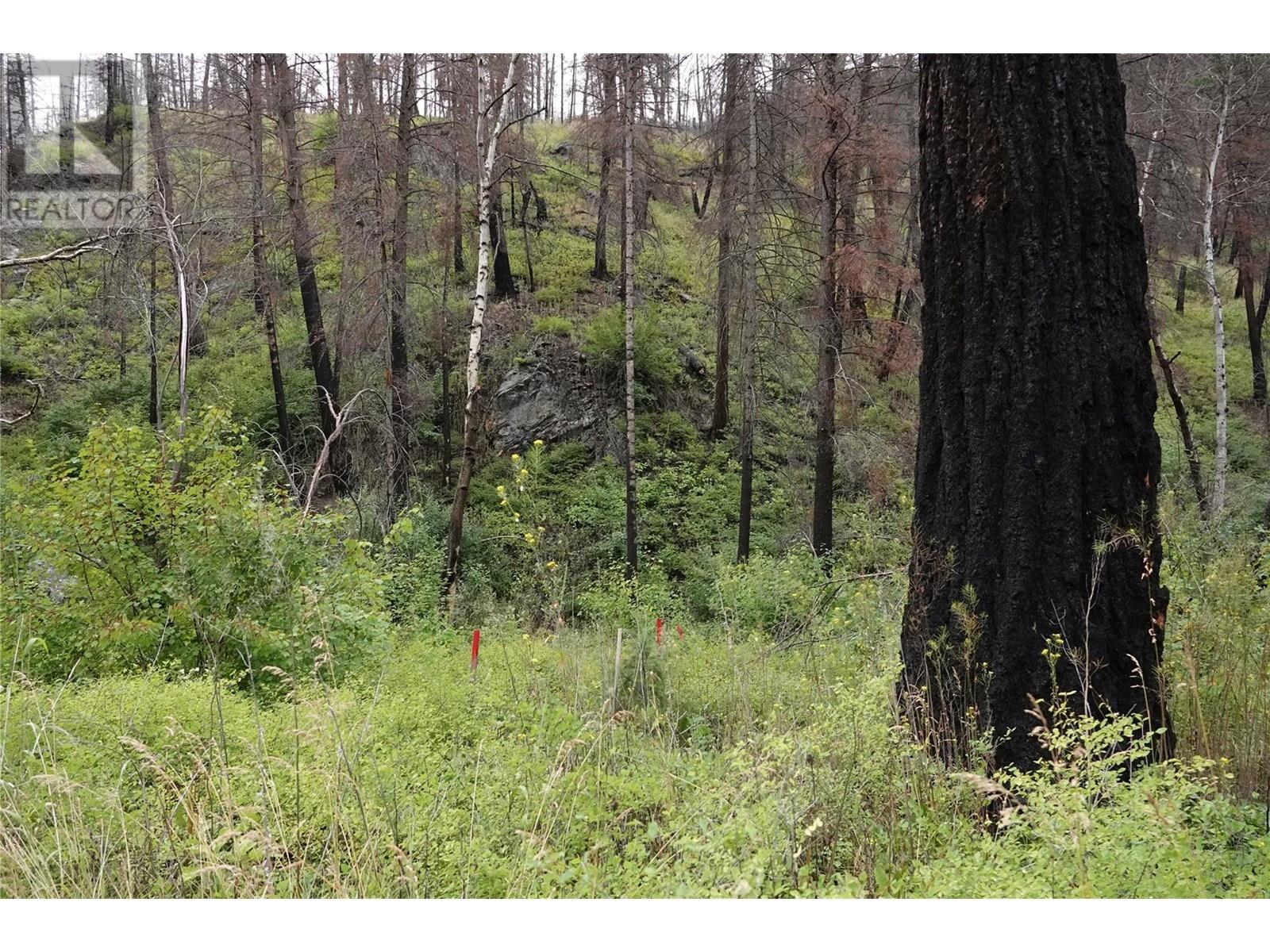 6520 Deadman Vidette Road - 70