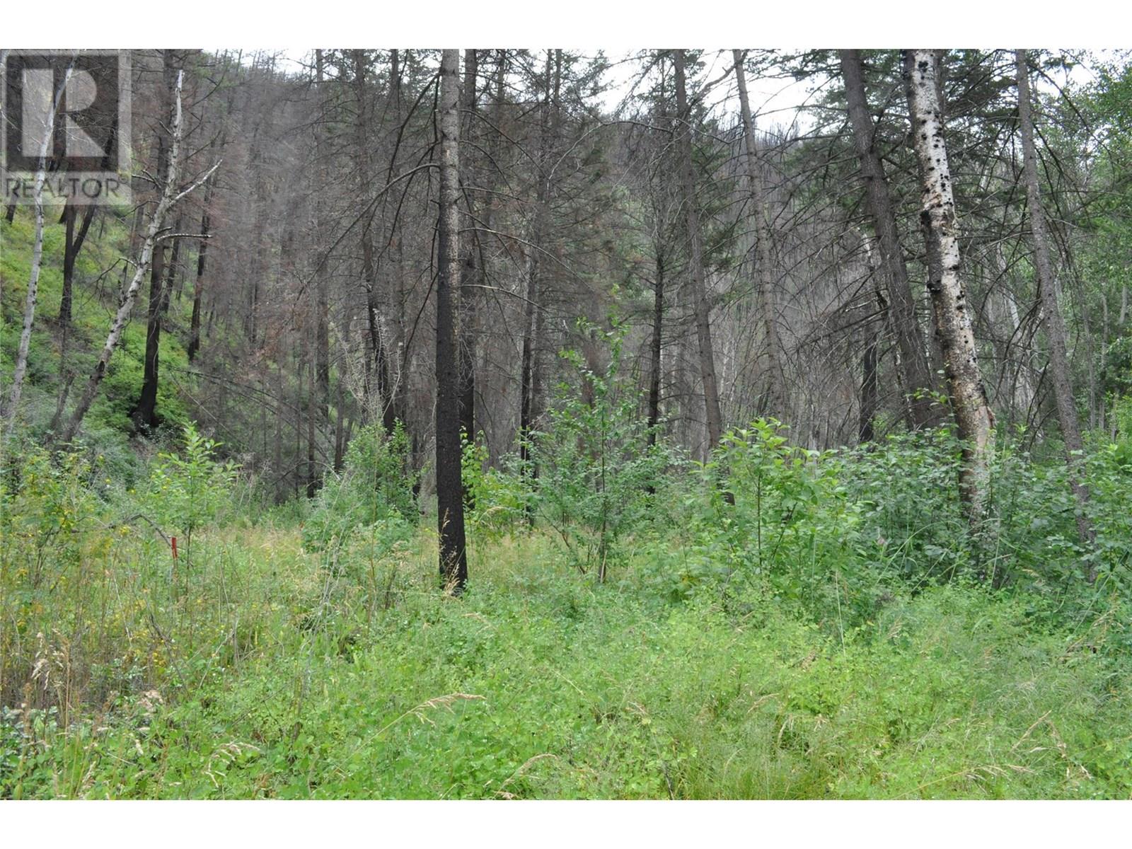 6520 Deadman Vidette Road - 46
