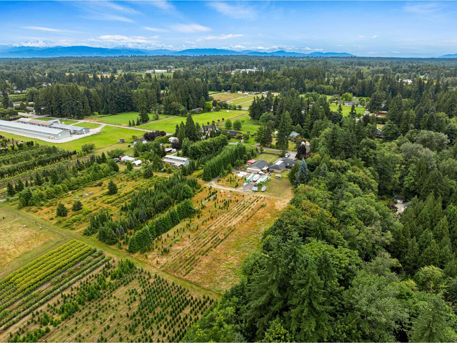 Photo 4 of 23363 48 Avenue, Langley BC