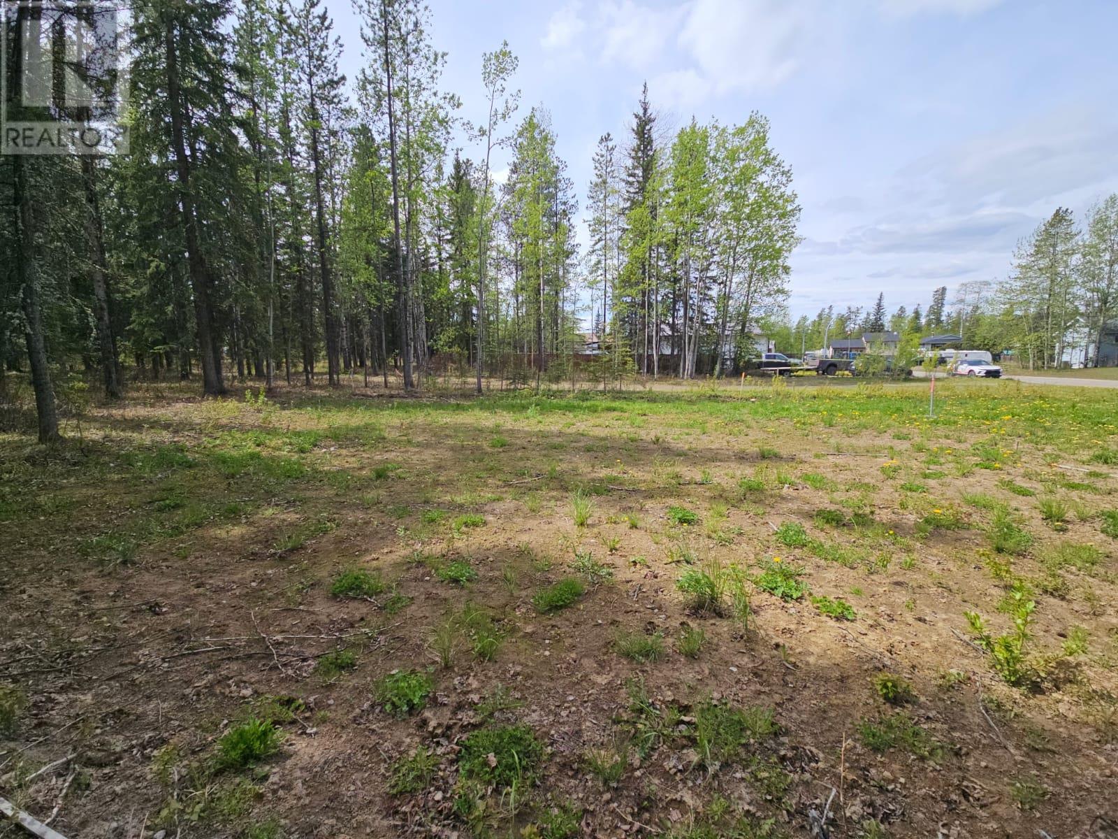 115 Red Willow Ave, Tumbler Ridge