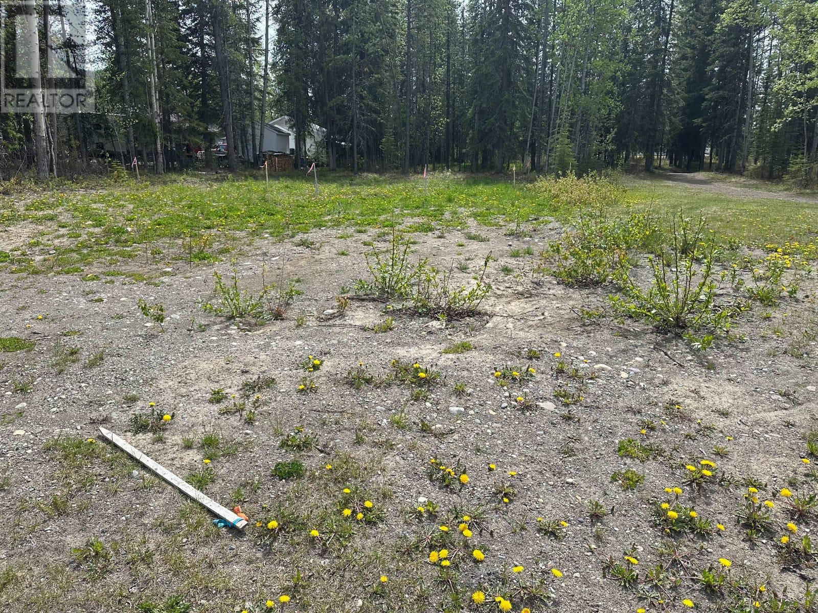 115 Red Willow Ave, Tumbler Ridge