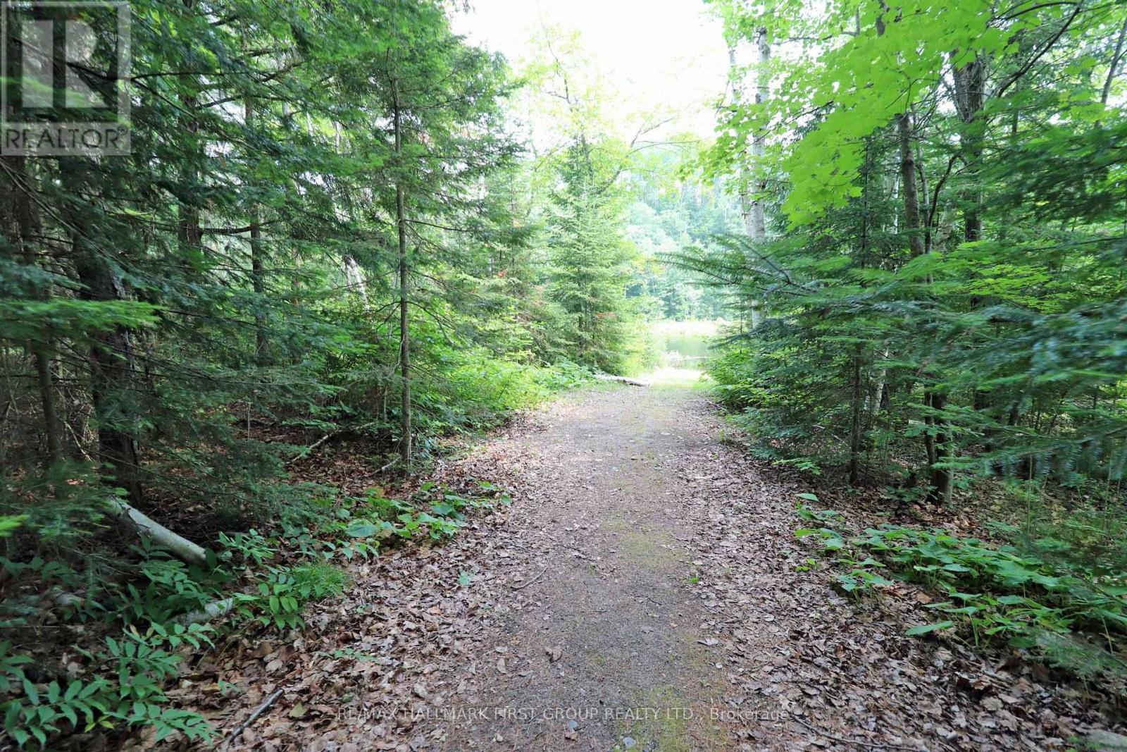 Photo 31 of 18120 Highway 41, Addington Highlands ON