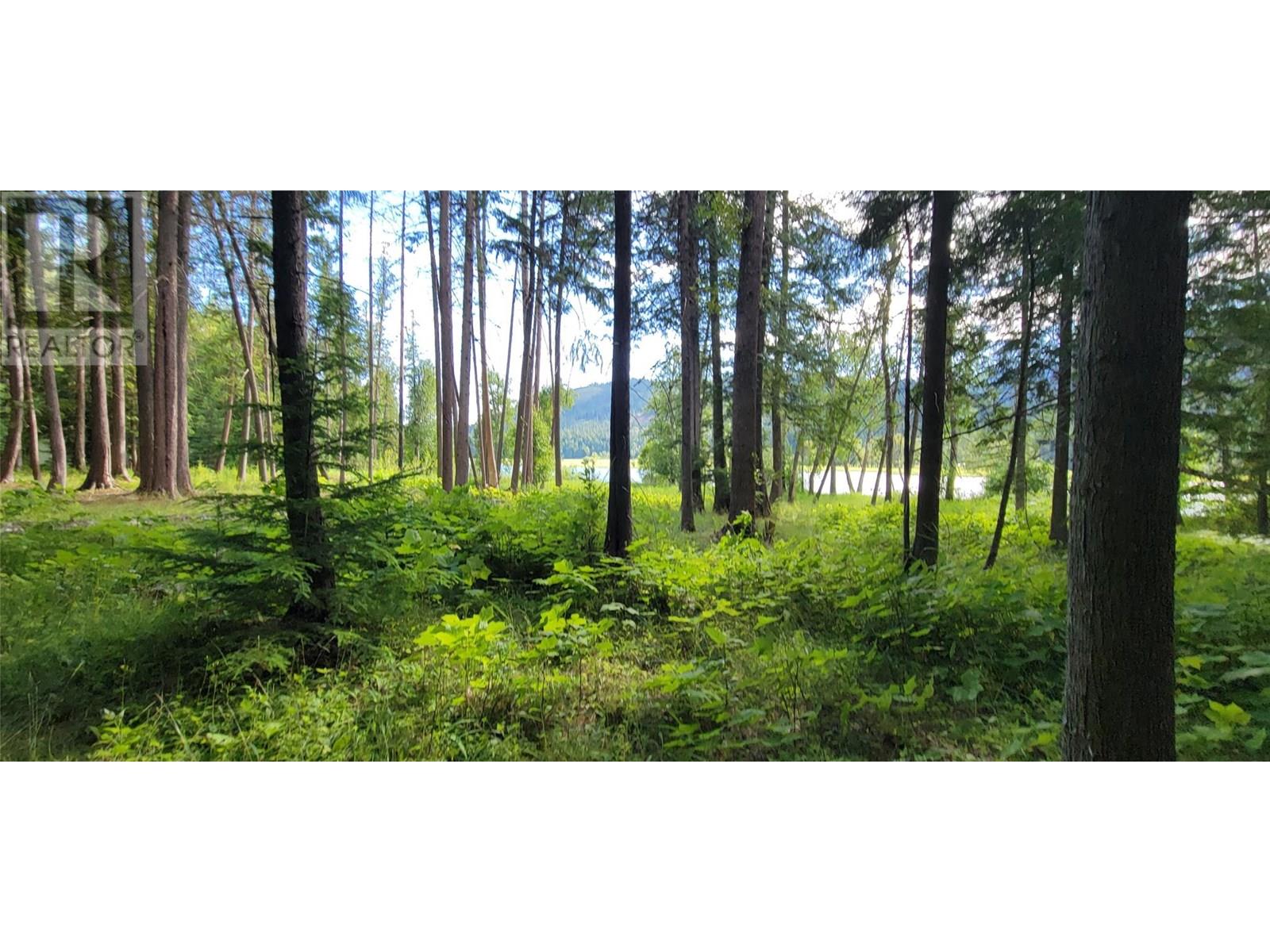 Photo 15 of Pcl B Copeland Road, Slocan BC