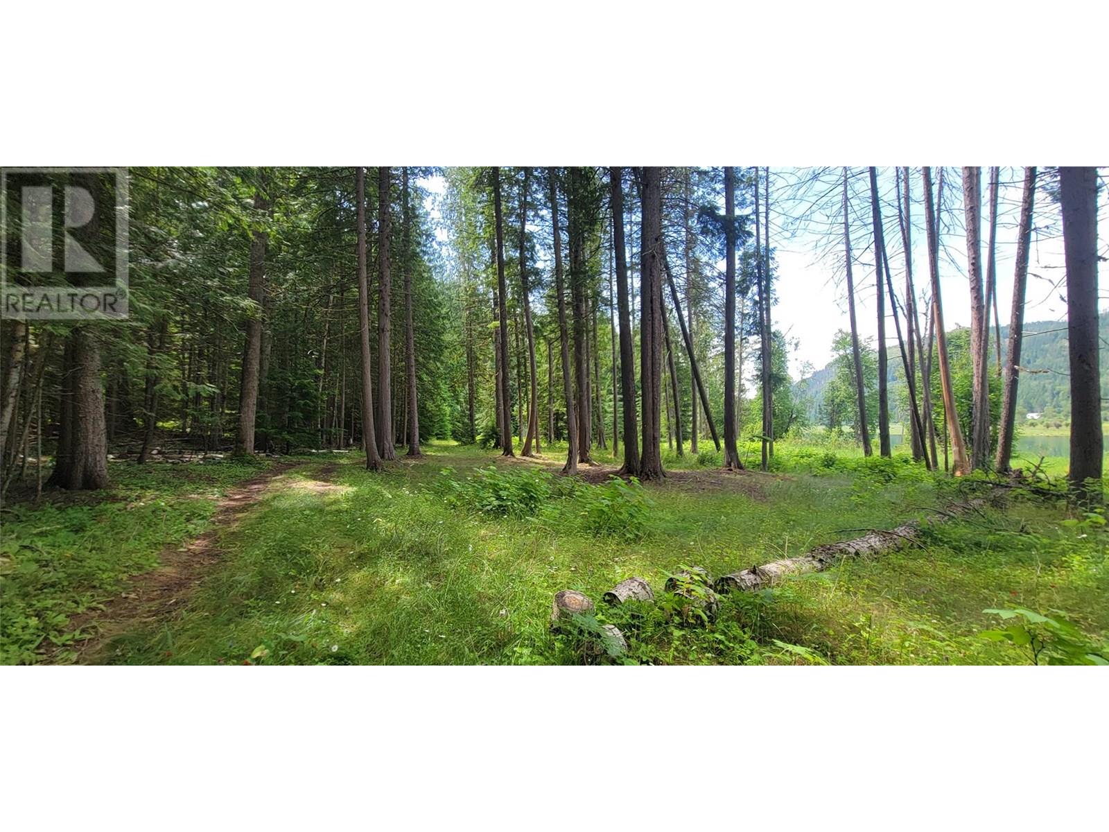 Photo 17 of Pcl B Copeland Road, Slocan BC