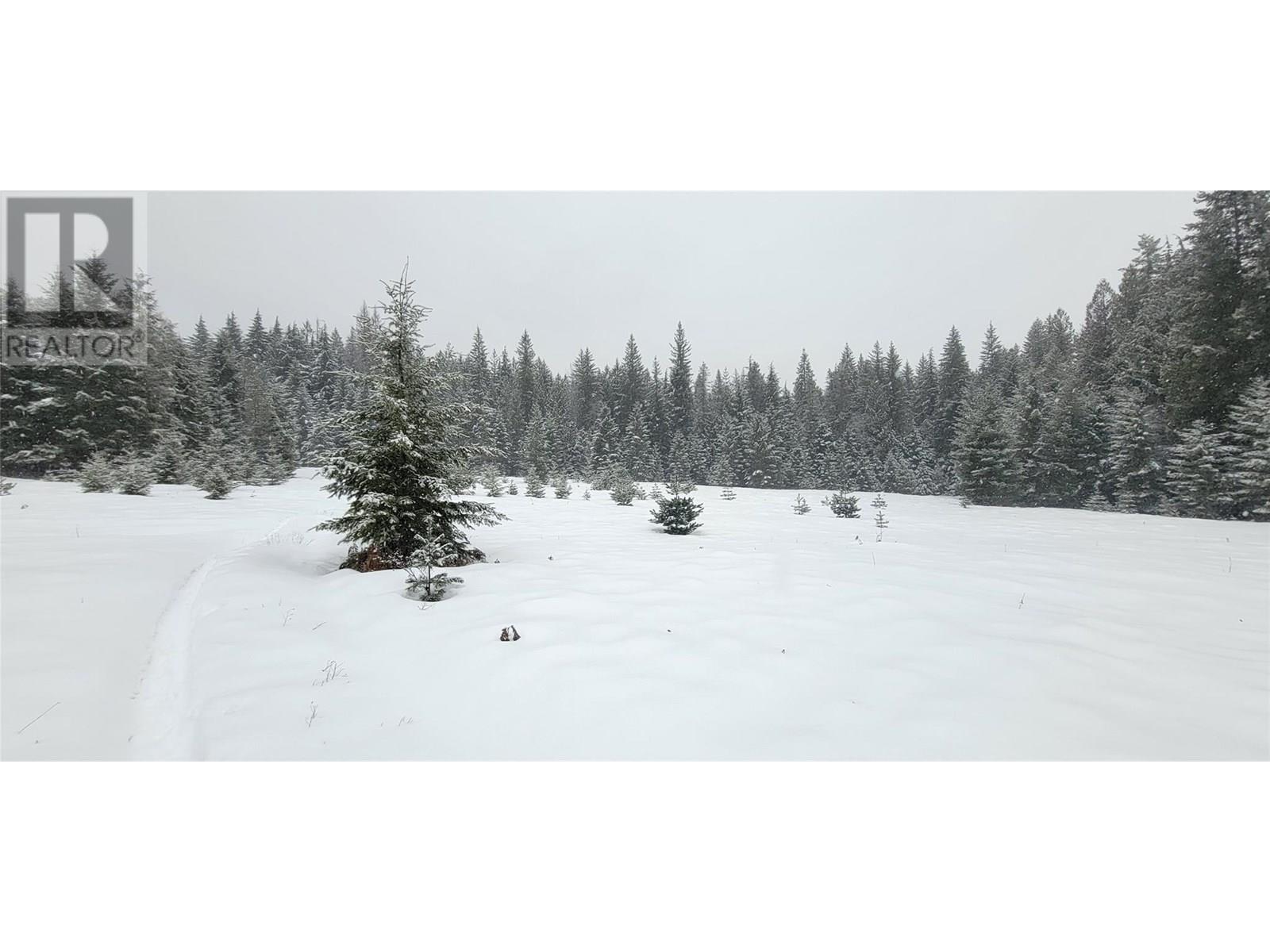 Photo 28 of Pcl B Copeland Road, Slocan BC