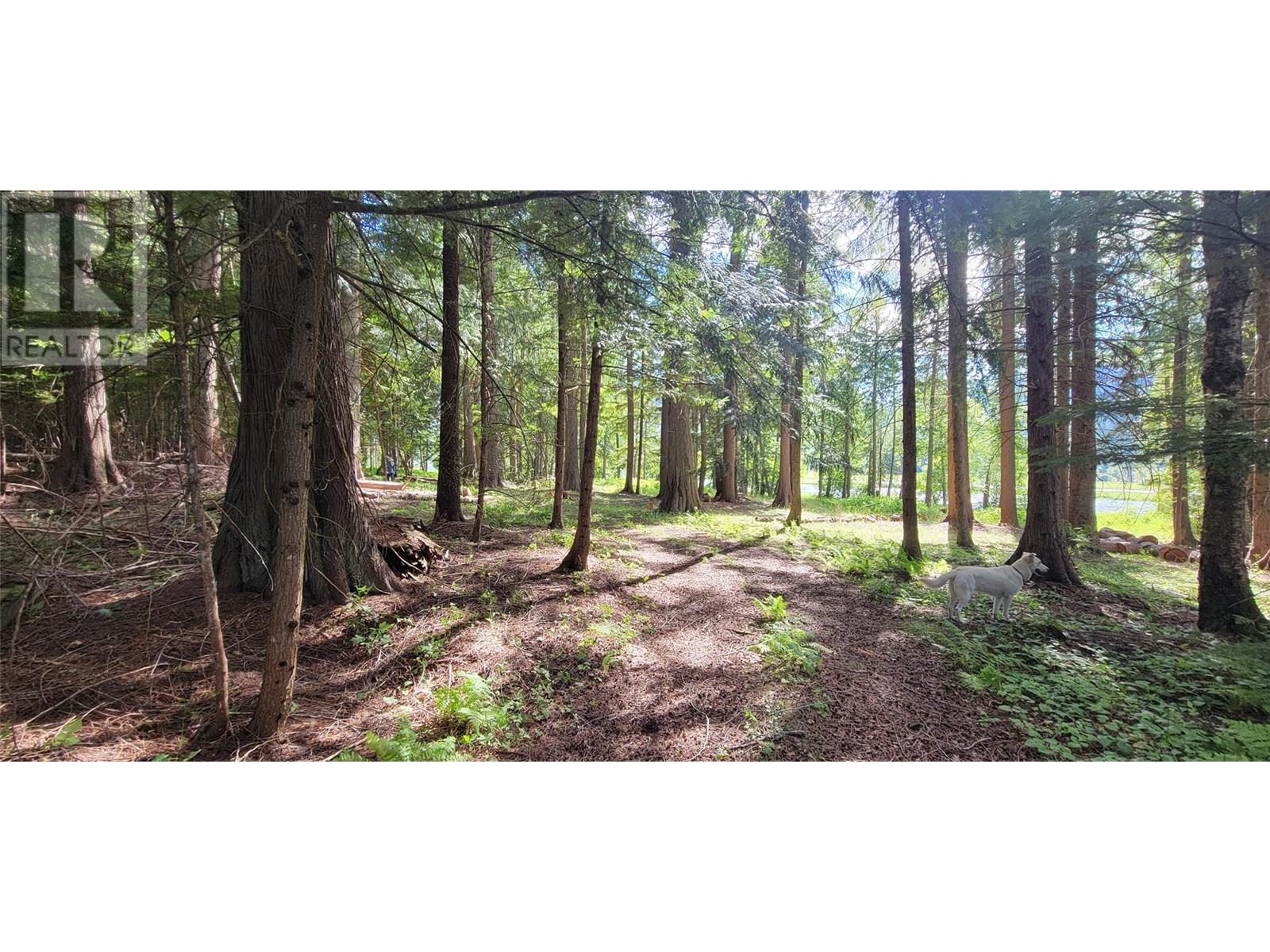 Photo 16 of Pcl B Copeland Road, Slocan BC