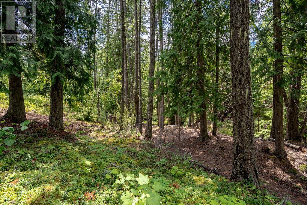 6105 Pine Ridge Road, Kaslo
