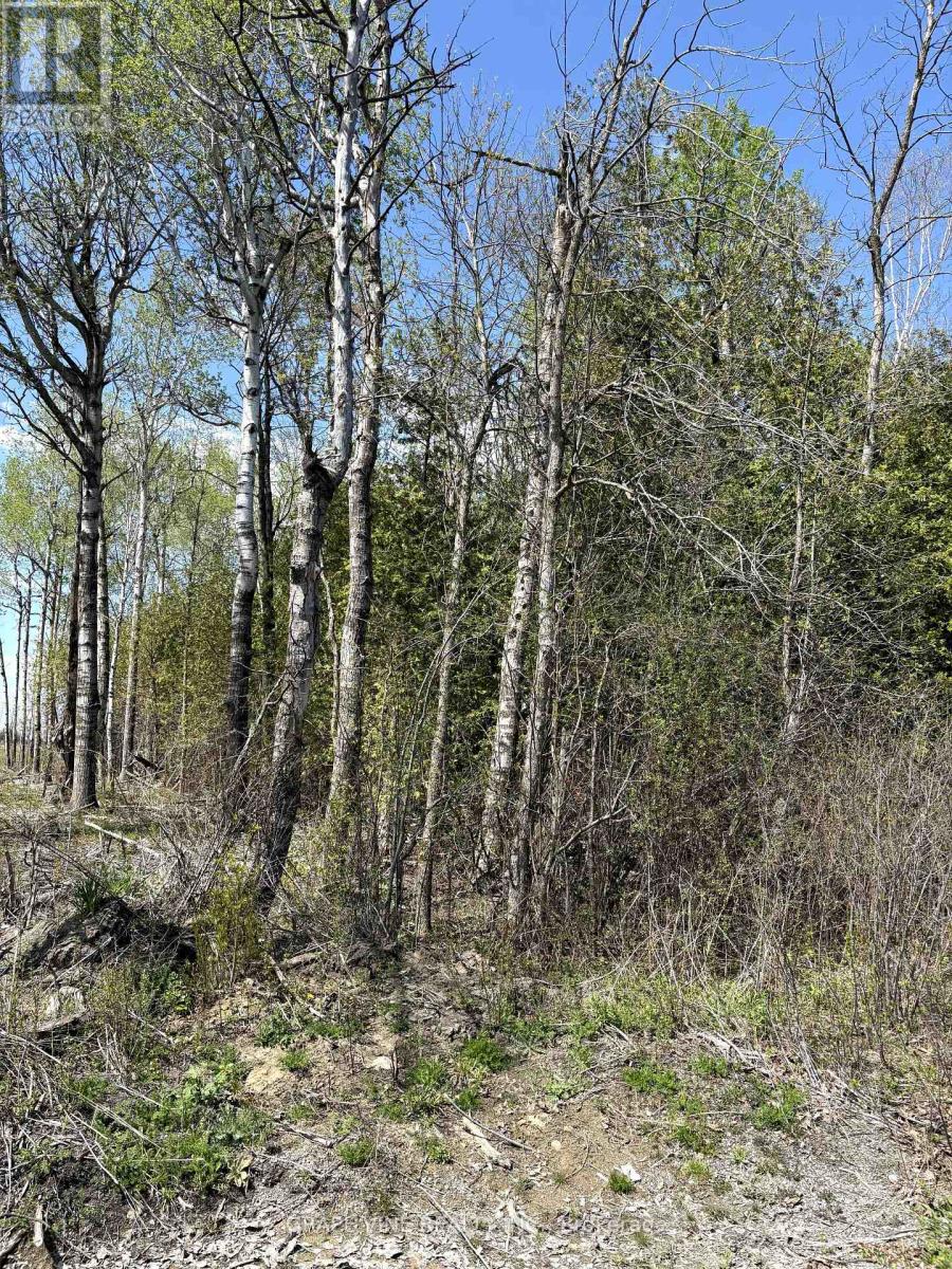 Photo 3 of 11865 Ptlt 23 Armstrong Road, North Dundas ON