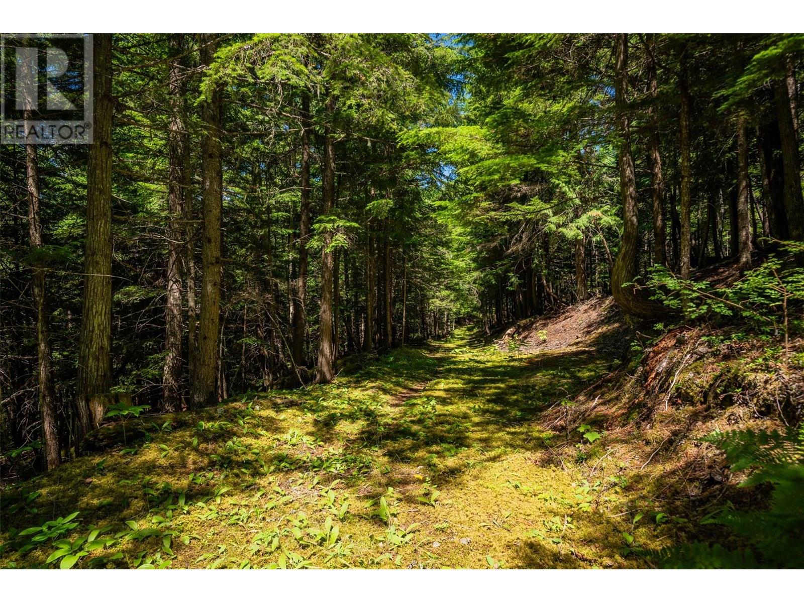 Photo 51 of 282 Duncan Dam Site Haul Road, Meadow Creek BC