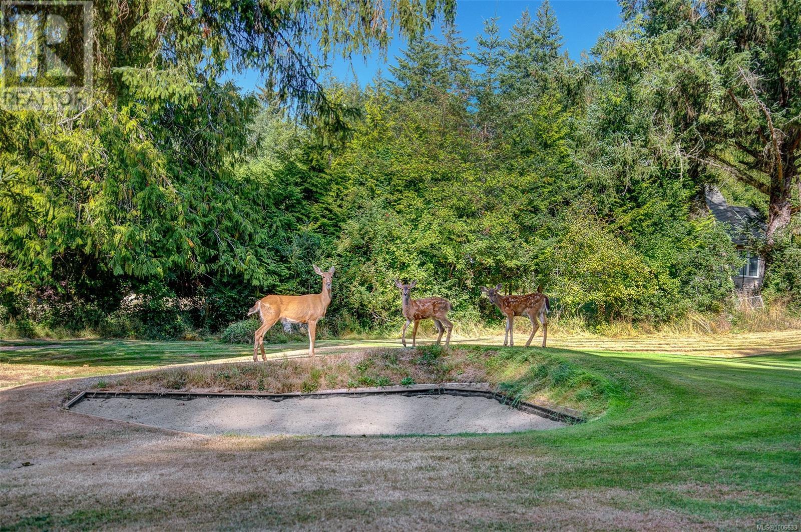 6730 East Sooke Rd, Sooke