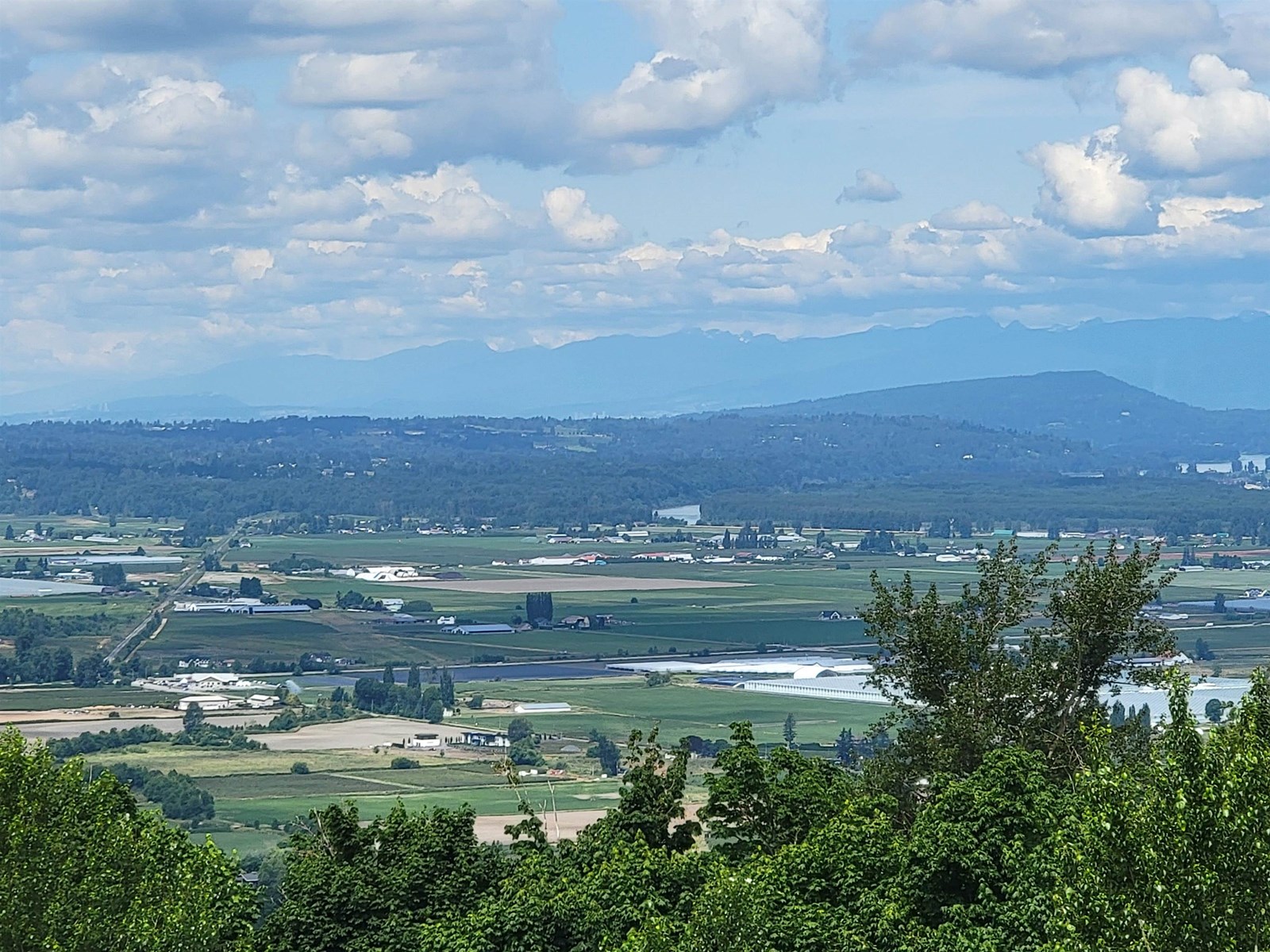 Photo 39 of 3493 Applewood Drive, Abbotsford BC