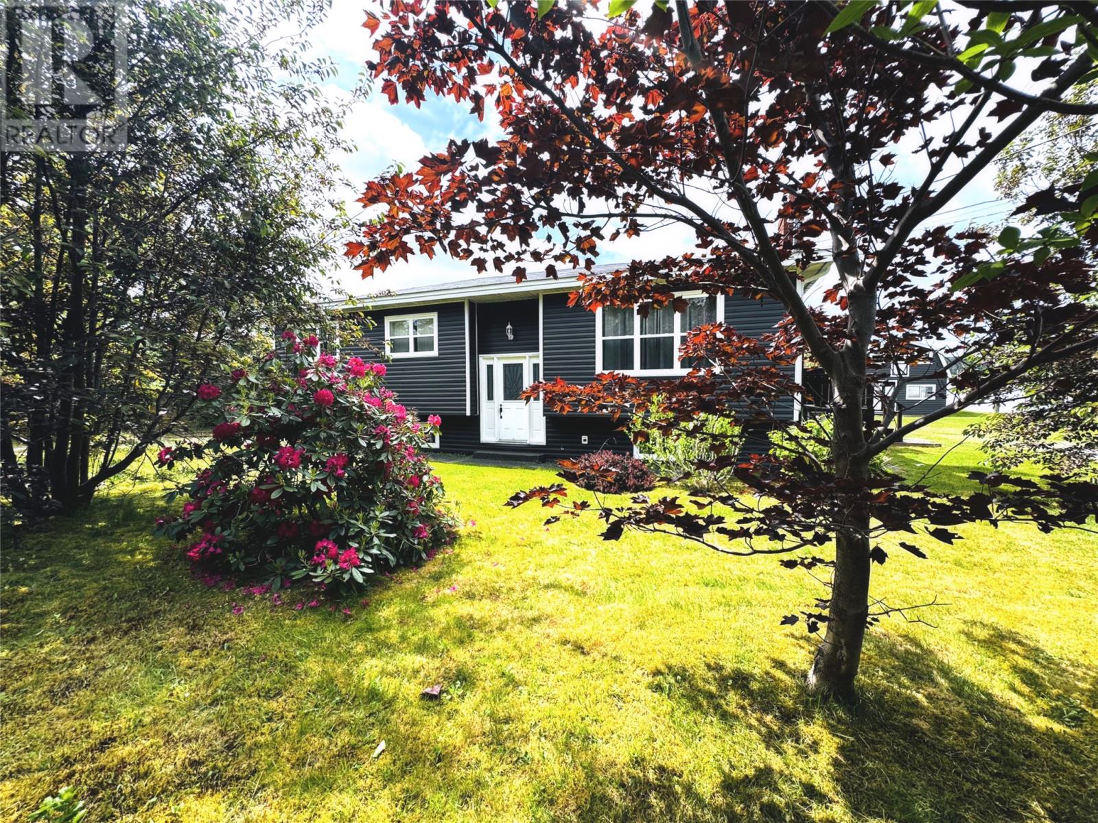 Photo 1 of 172 Springfield Road, South River NL