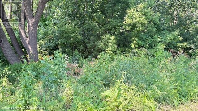 Photo 3 of 15 Robinson Street N, Grimsby ON