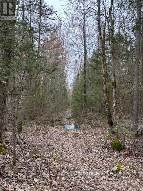 Photo 4 of Con 1 Lot 12, Parry Sound Remote Area ON