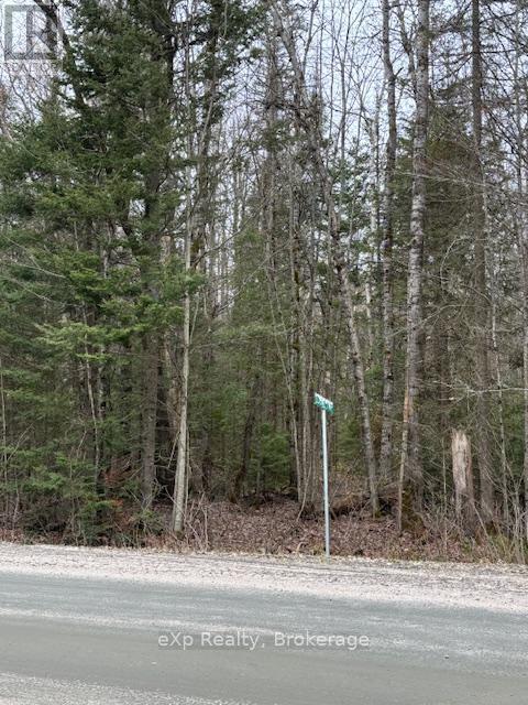 Photo 11 of Con 1 Lot 12, Parry Sound Remote Area ON