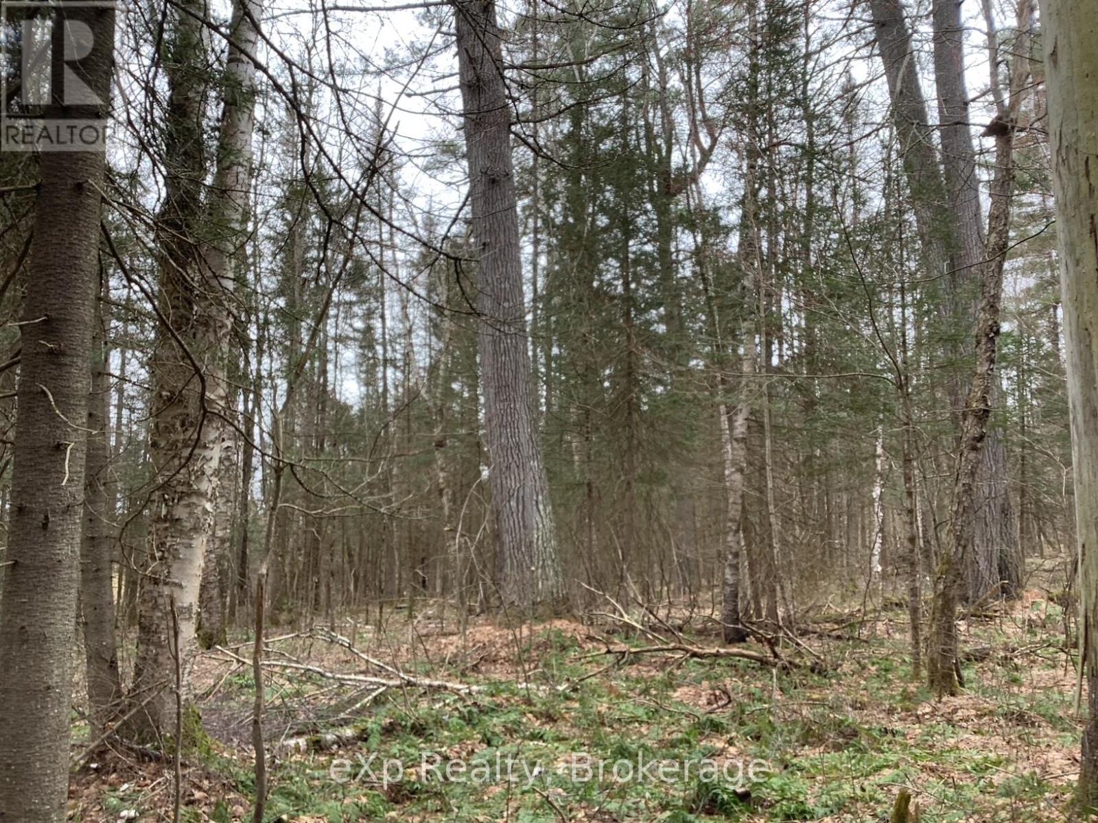 Photo 13 of Con 1 Lot 12, Parry Sound Remote Area ON