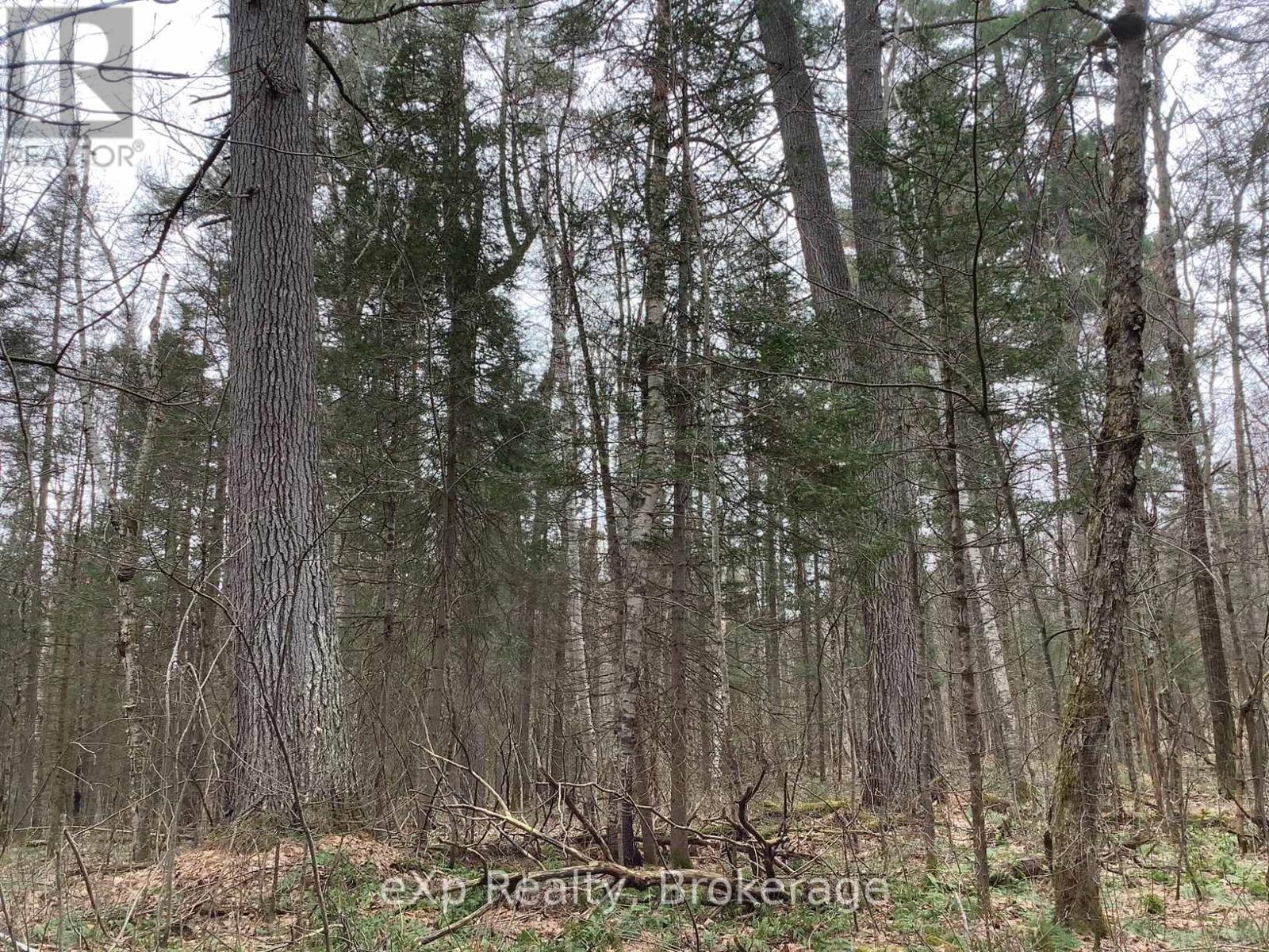 Photo 6 of Con 1 Lot 12, Parry Sound Remote Area ON