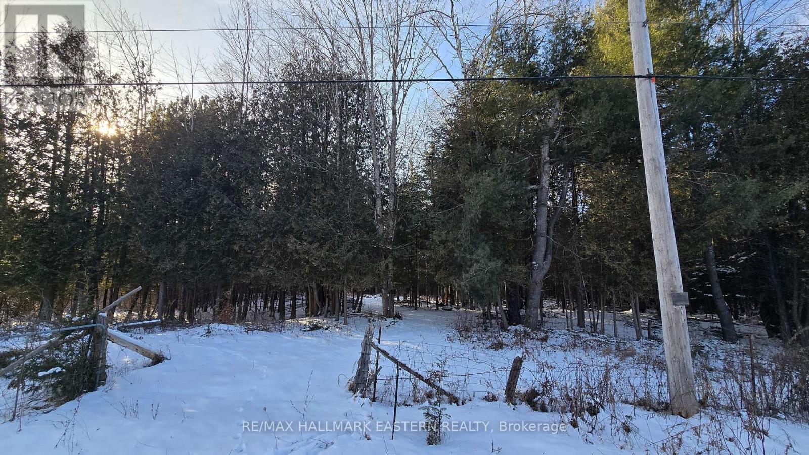 Photo 6 of N A County Road 46, Havelockbelmontmethuen ON
