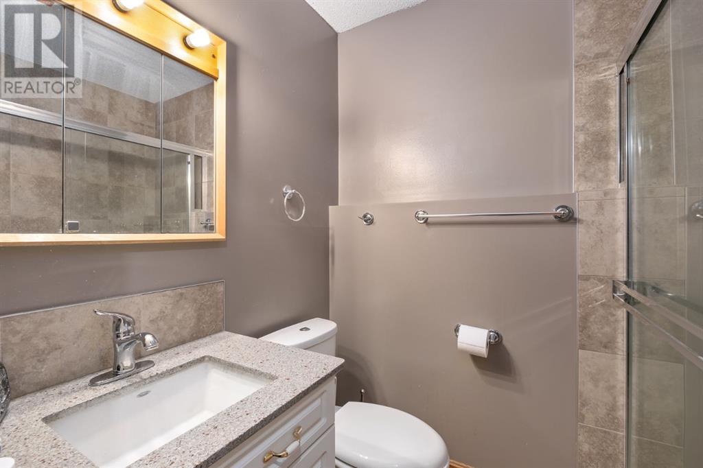 272 Erin Woods Drive SE, Calgary, Alberta