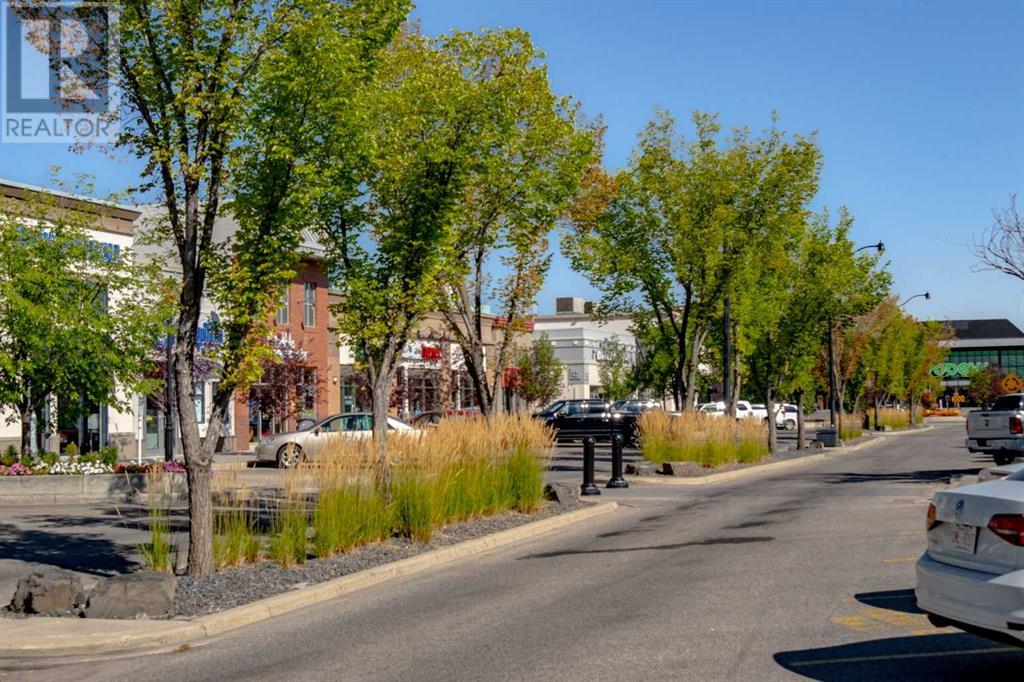 Single Family House for Sale in  Brightoncrest Common SE New Brighton Calgary 