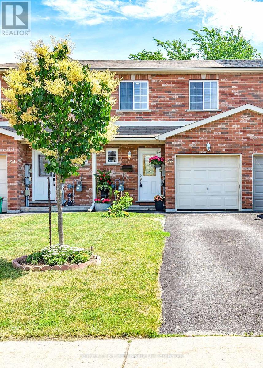 Photo 37 of 36 Michelle Drive, Orillia ON