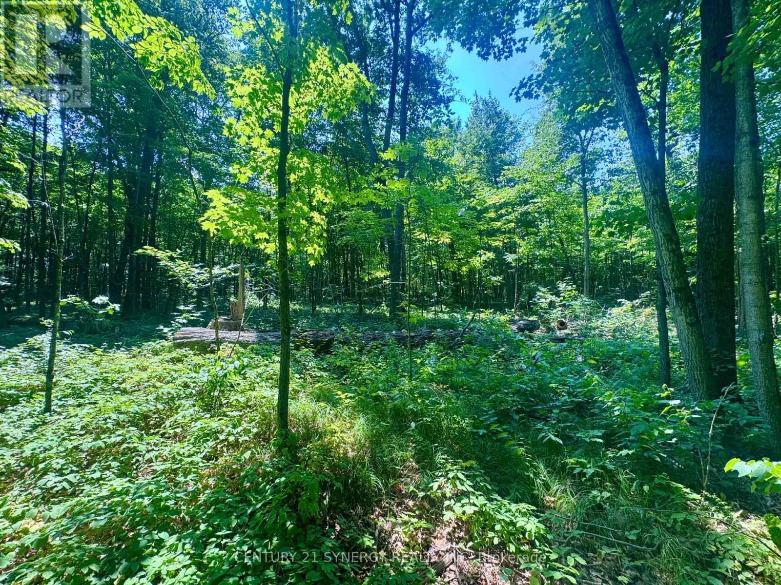 Photo 3 of 0 Riley Road, Elizabethtownkitley ON