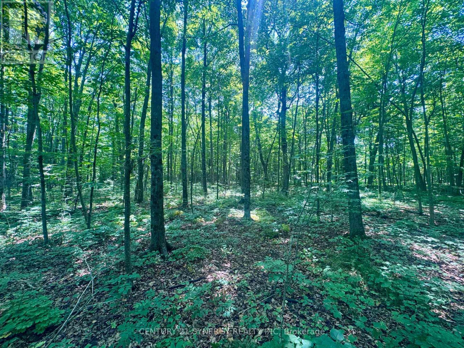 Photo 10 of 0 Riley Road, Elizabethtownkitley ON