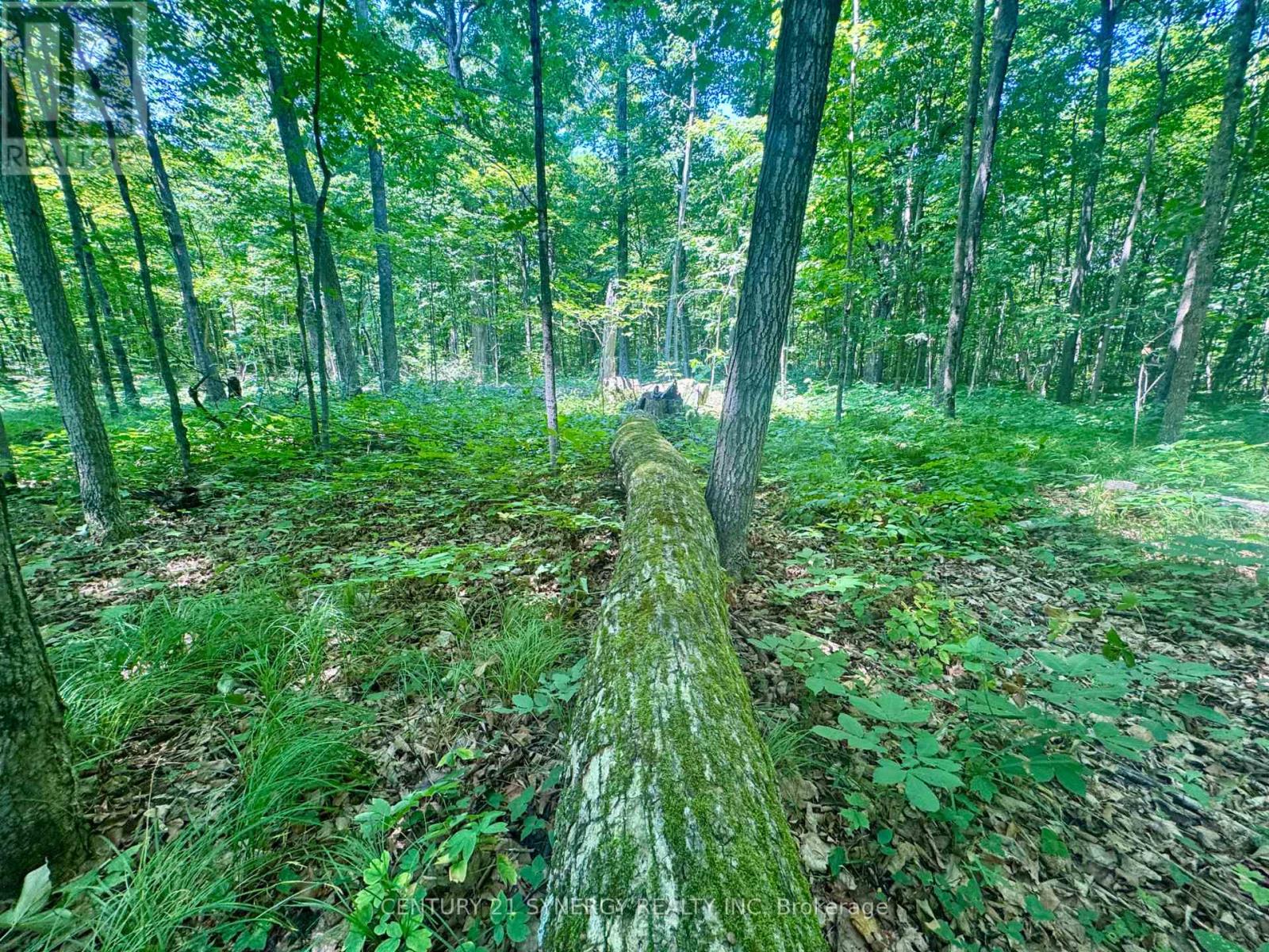 Photo 8 of 0 Riley Road, Elizabethtownkitley ON