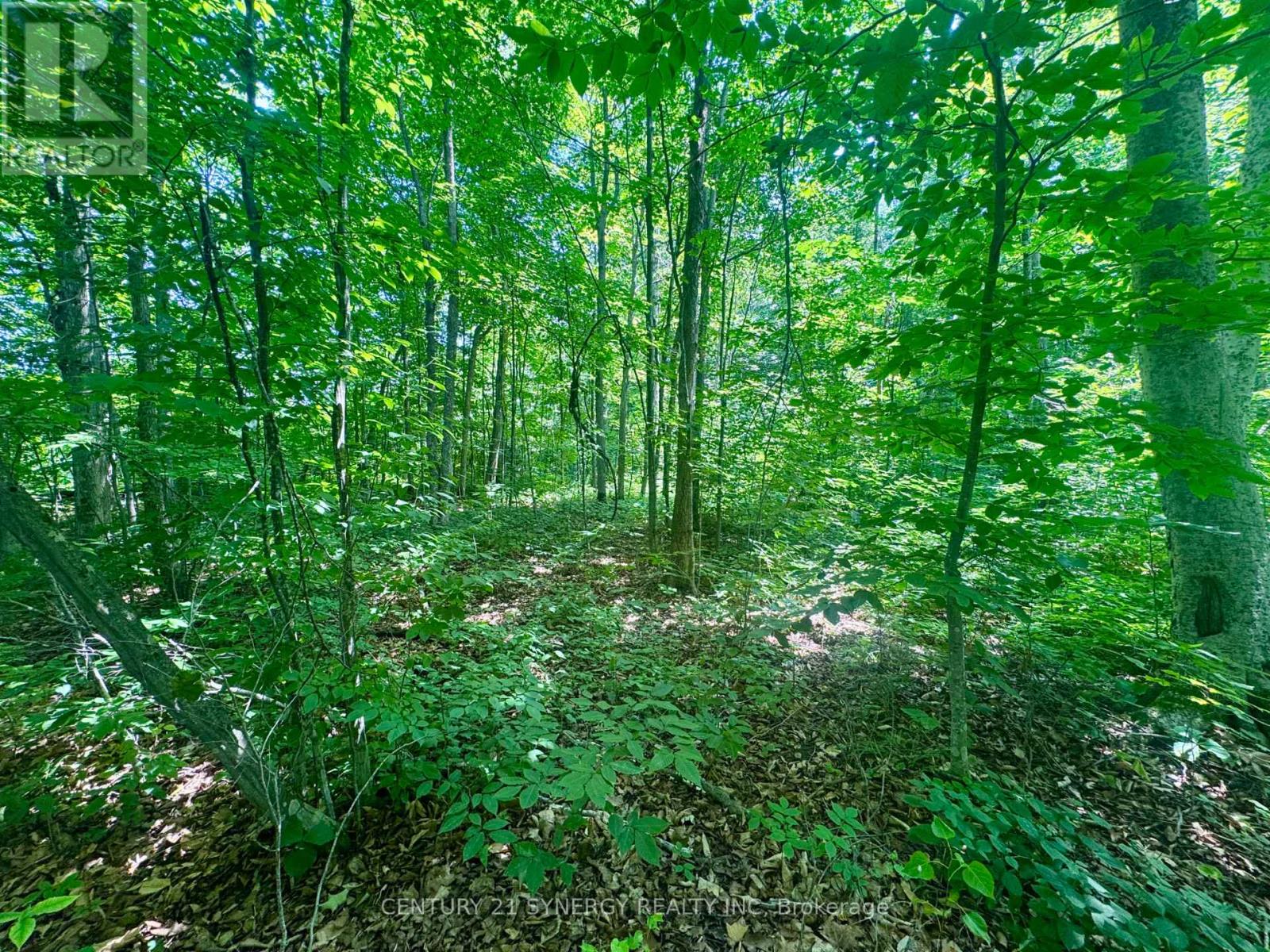 Photo 9 of 0 Riley Road, Elizabethtownkitley ON