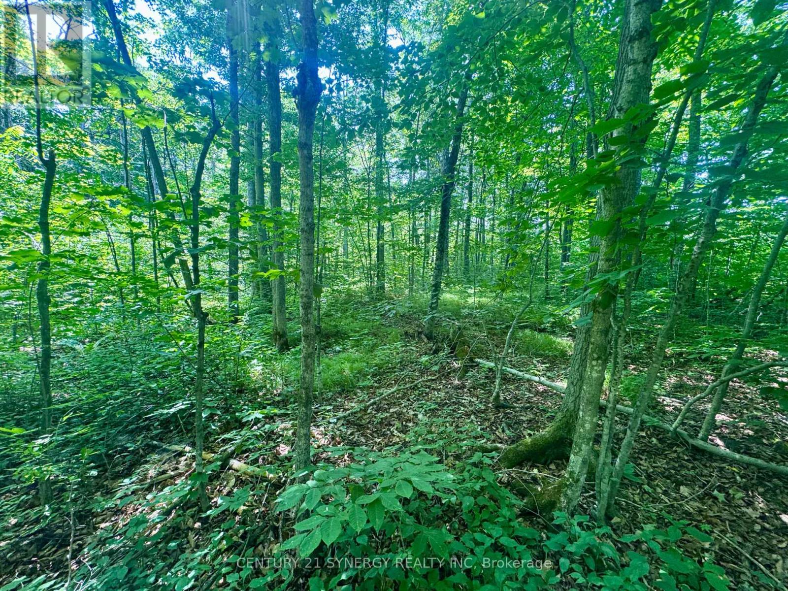 Photo 13 of 0 Riley Road, Elizabethtownkitley ON