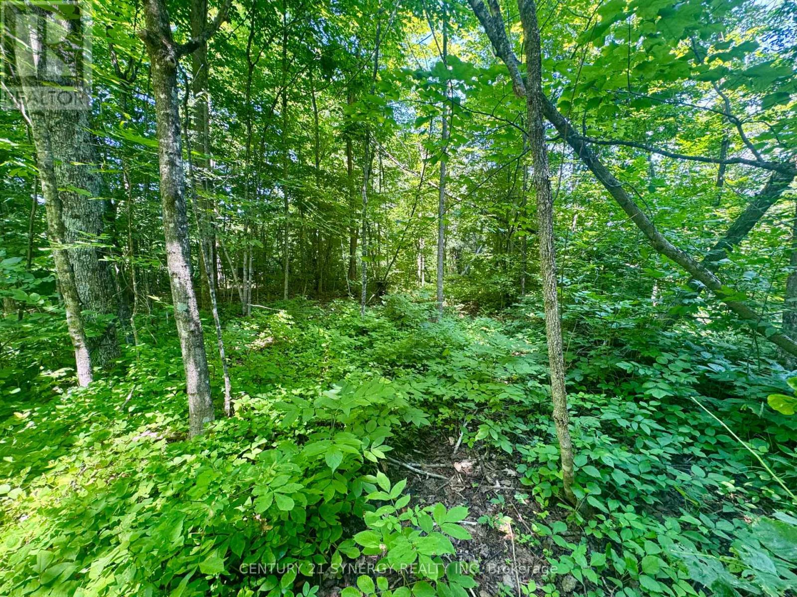 Photo 5 of 0 Riley Road, Elizabethtownkitley ON